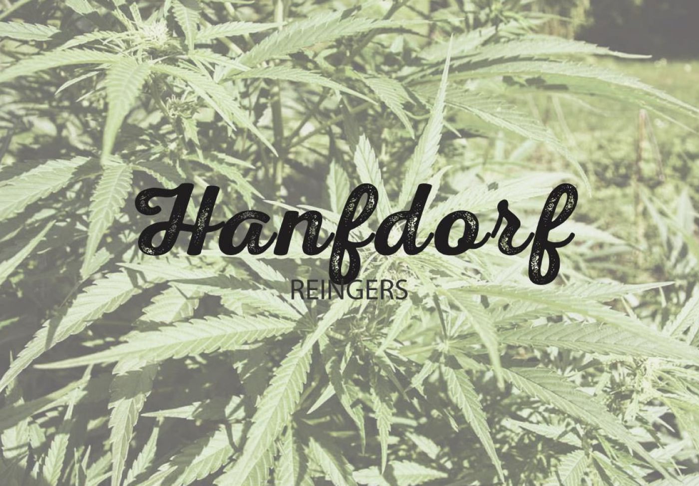 hanfdorf_1